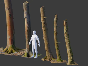 pbr beech tree dead trunk collection 3D Model