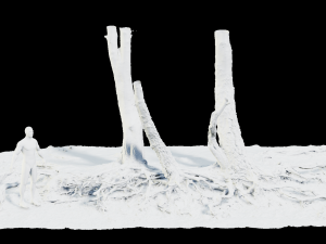 birch tree trunk with roots overhang scan pbr 3D 模型