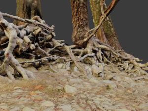 birch tree trunk with roots overhang scan pbr 3D 模型