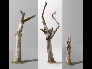 pbr &aacute;rvore morta cole&ccedil;&atilde;o photoscan baixo poli Modelo 3D