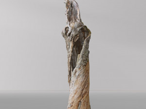 pbr dead tree photoscan collection low poly Modèle 3D