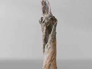 pbr dead tree photoscan collection low poly 3D Model