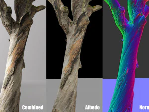 pbr dead tree photoscan collection low poly 3D Model