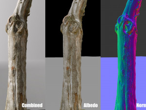 pbr dead tree photoscan collection low poly Modèle 3D