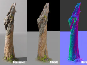 pbr dead tree photoscan collection low poly 3D Model