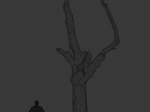 pbr dead tree photoscan collection low poly Modèle 3D