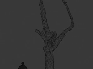 pbr dead tree photoscan collection low poly 3D Model