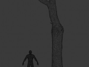 pbr dead tree photoscan collection low poly Modèle 3D