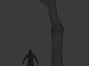 pbr dead tree photoscan collection low poly 3D Model
