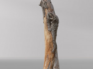 pbr dead tree photoscan collection low poly Modèle 3D