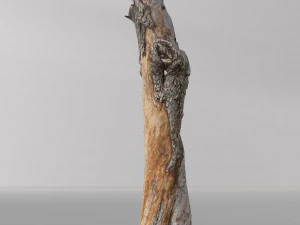 pbr dead tree photoscan collection low poly 3D Model