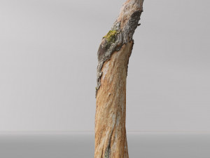 pbr dead tree photoscan collection low poly Modèle 3D