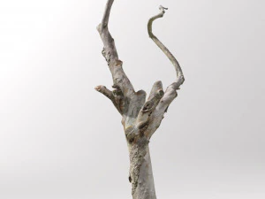 pbr dead tree photoscan collection low poly 3D Model