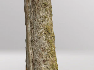 pbr dead tree photoscan collection low poly 3D Model