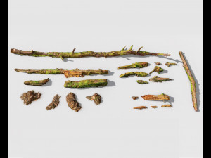 forest branches debris leaves scan 3D Model