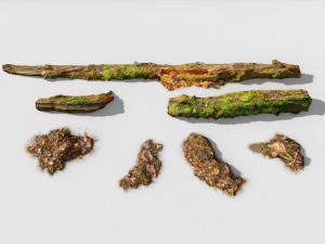 forest branches debris leaves scan 3D Model