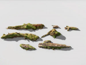 forest branches debris leaves scan 3D Model
