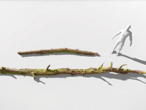 forest branches debris leaves scan 3D Model
