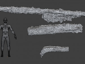 forest branches debris leaves scan 3D Model