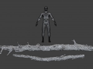 forest branches debris leaves scan 3D Model
