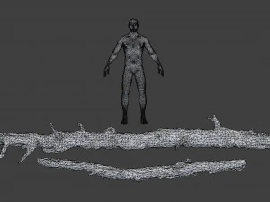 forest branches debris leaves scan 3D Model