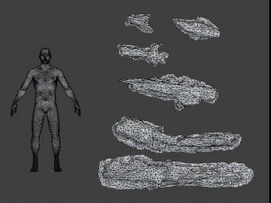 forest branches debris leaves scan 3D Model