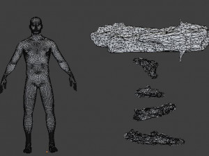 forest branches debris leaves scan 3D Model