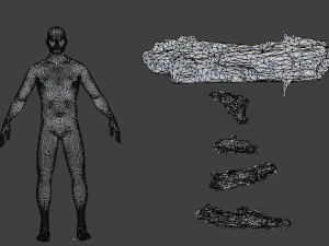 forest branches debris leaves scan 3D Model