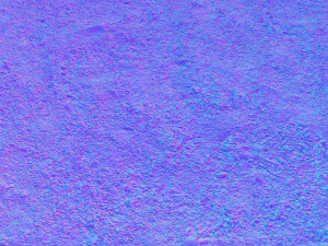 forest branches debris leaves scan 3D Model