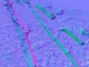 forest branches debris leaves scan 3D Model