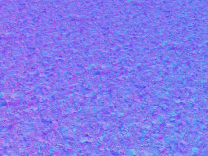 forest branches debris leaves scan 3D Model
