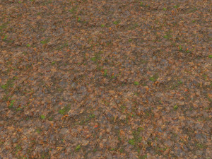 forest branches debris leaves scan 3D Model