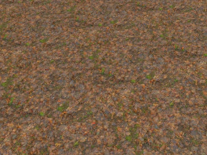 forest branches debris leaves scan 3D Model
