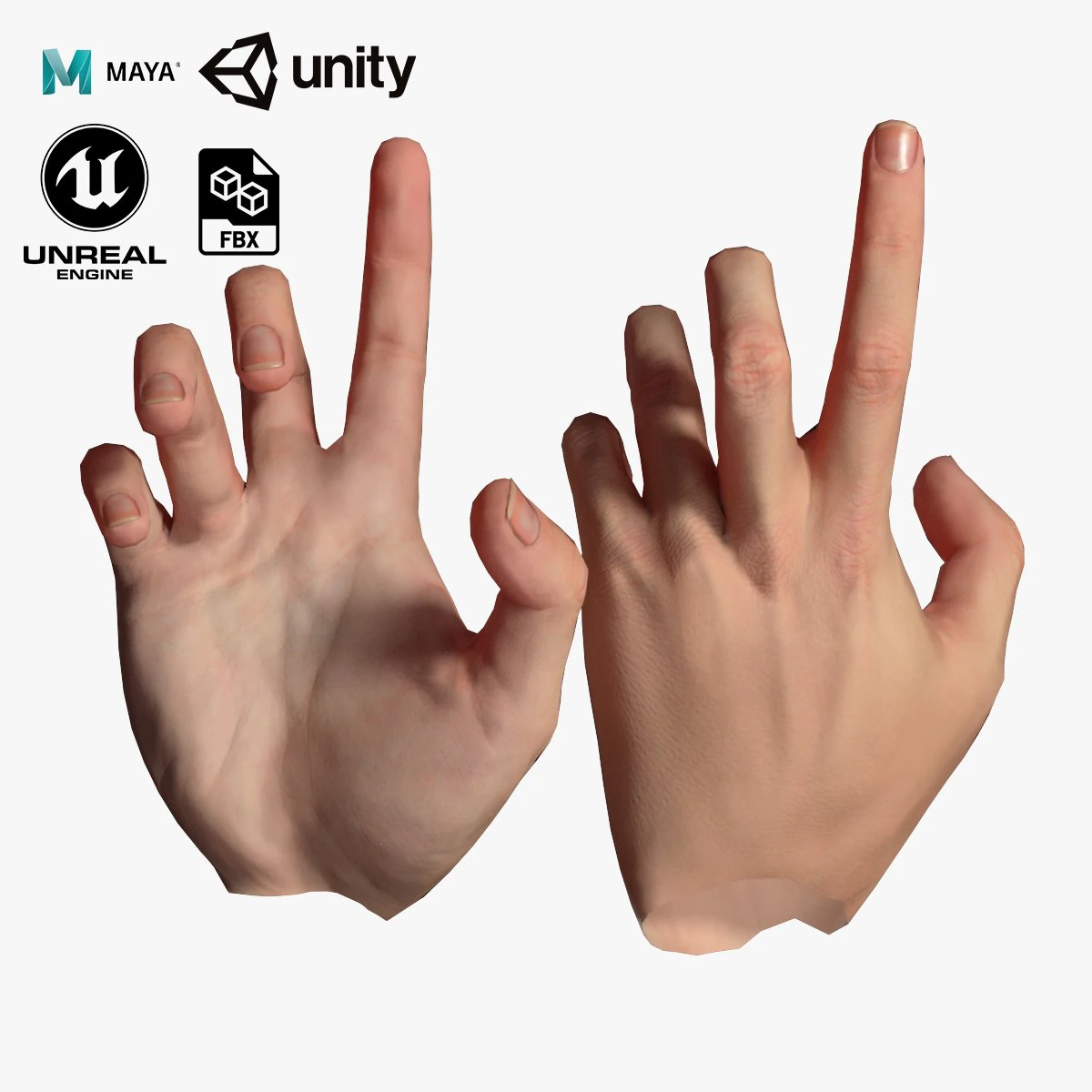 realistic hand vr low poly 3D Model .c4d .max .obj .3ds .fbx .stl .blend 