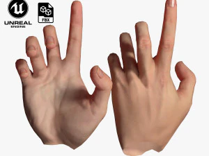 tangan realistis vr poli rendah Model 3D