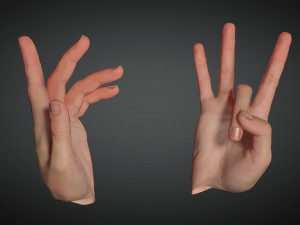 realistic hand vr low poly 3D मॉडल