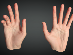 realistic hand vr low poly 3D मॉडल