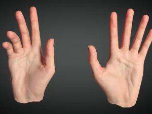 realistic hand vr low poly 3D Model