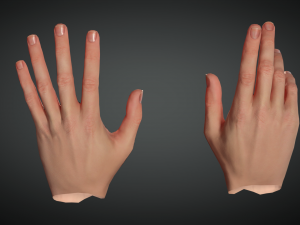 realistic hand vr low poly 3D मॉडल
