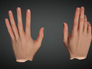 realistic hand vr low poly 3D Model