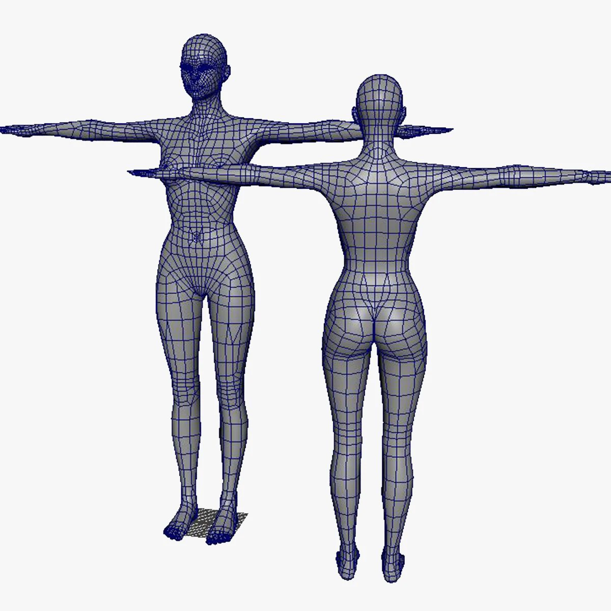 female base mesh 3D Model .c4d .max .obj .3ds .fbx .stl .blend 