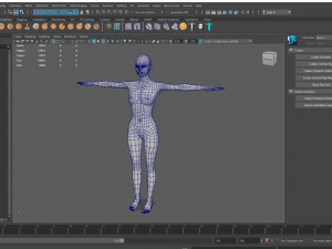 female base mesh 3D 모델
