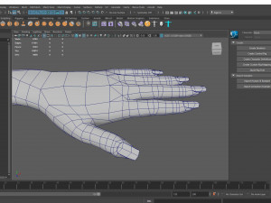 female base mesh 3D 모델