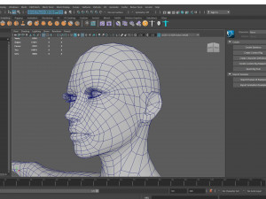 female base mesh 3D 모델