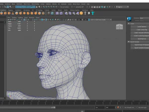 female base mesh 3D Model
