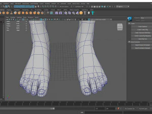 female base mesh 3D Model