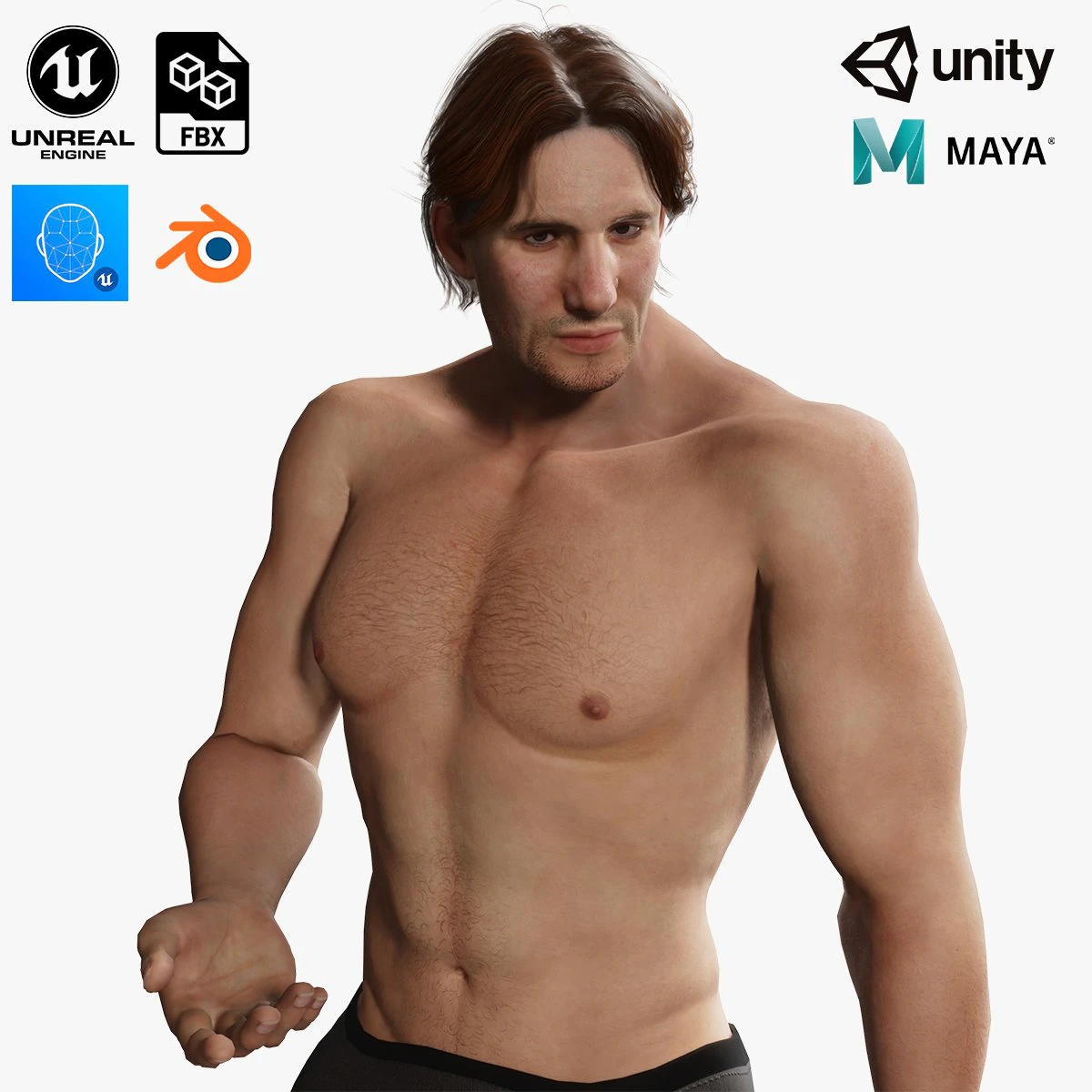 Free Realistic Male Body G1 3D Model .c4d .max .obj .3ds .fbx .stl .blend 