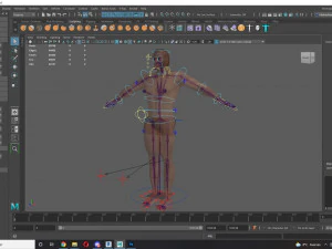 Free Realistic Male Body G1 3D Model