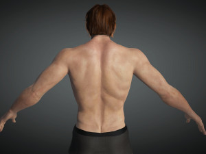 Free Realistic Male Body G1 3D Модель