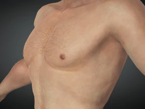 Free Realistic Male Body G1 3D Model